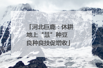 河北巨鹿：休耕地上“慧”种豆 良种良技促增收
